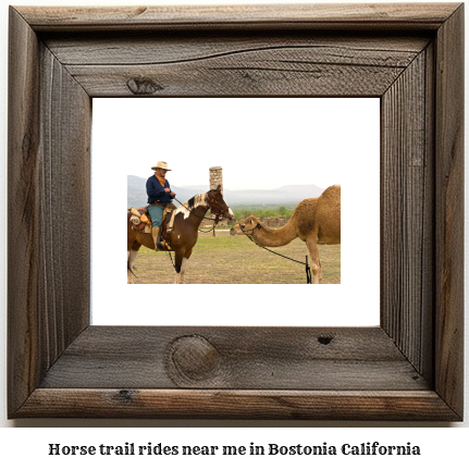 horse trail rides near me in Bostonia, California